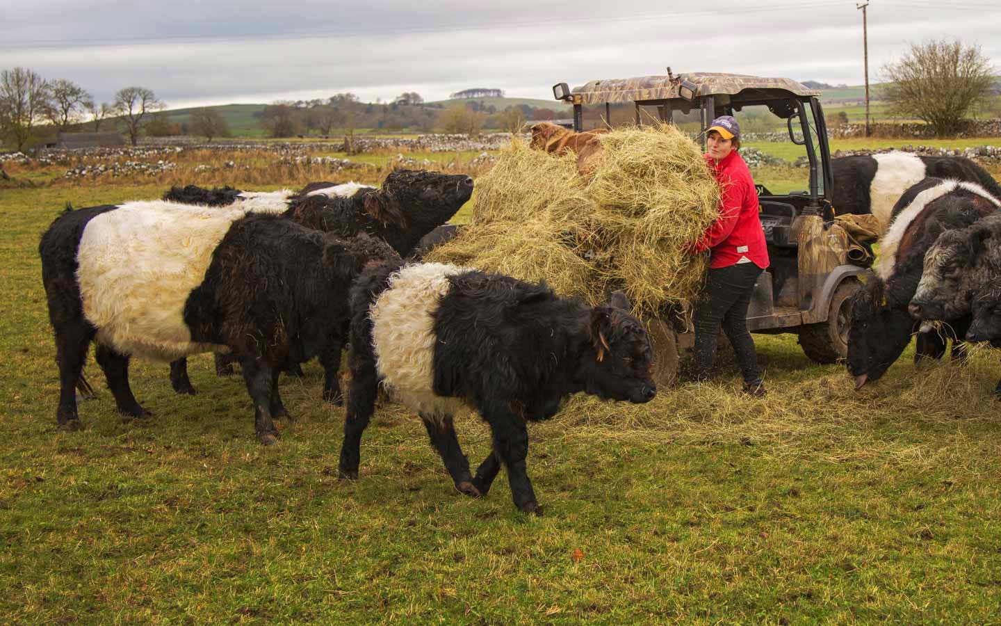 Farmers and growers can benefit by becoming a member of TIAH. Picture: Ruth Downing.