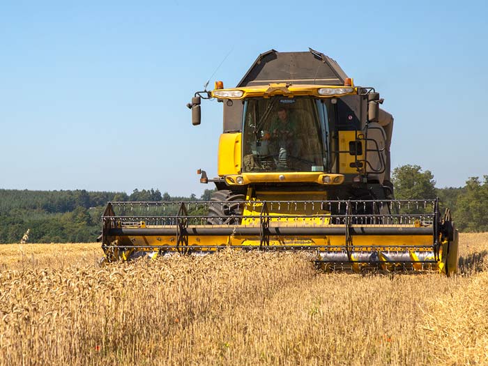 Cereal crops being harvested. Picture: Ruth Downing.