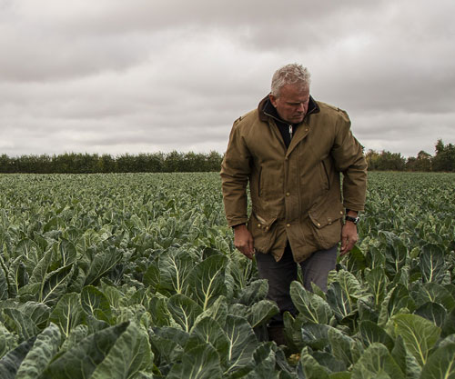 Farmers and growers are facing volatility across their businesses.