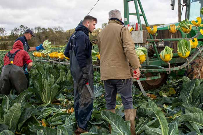 Grower providing instruction to young person on his farm. Picture: Ruth Downing.