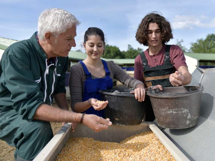 Two apprentices learn about cattle feed. Picture: Goodluz/Shutterstock.com