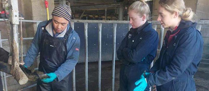 Jhunjun Salas, head herdsman at Saltby Dairy Unit, with Jess Morgan and Ellie Brown.
