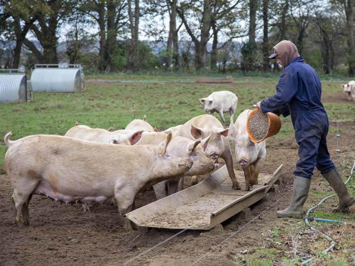 Animal health and welfare is a primary concern for everyone working on a livestock unit.