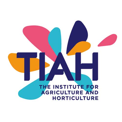 TIAH logo.